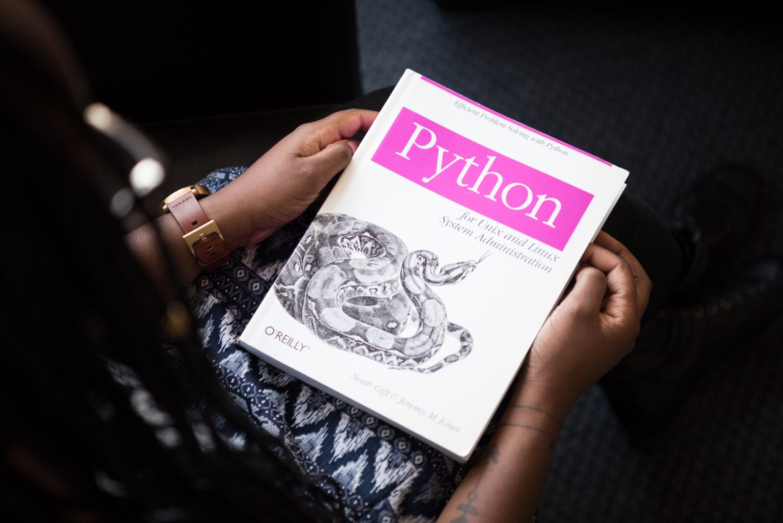 Top 8 Python Alternatives - 2024